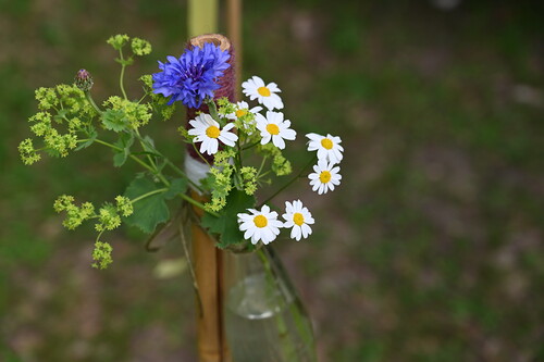 Kath Kirche Vorarlberg / Fehle